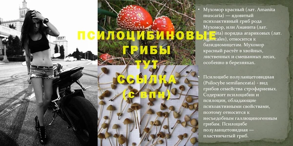 винт Алексин