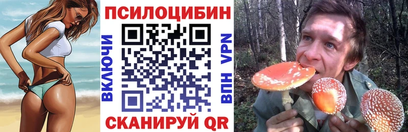 Псилоцибиновые грибы ЛСД Динская